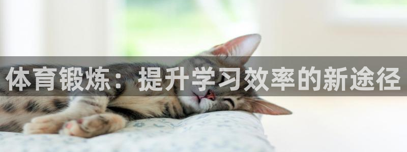 劲爆体育明天节目表预告：体育锻炼：提升学习效率的新途径