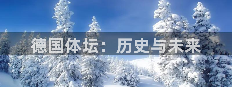 劲爆体育免费观看