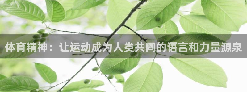 劲爆体育英超直播