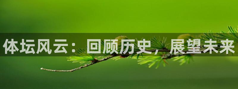 劲爆体育网