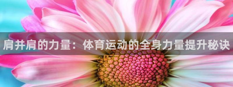 劲爆体育网页版